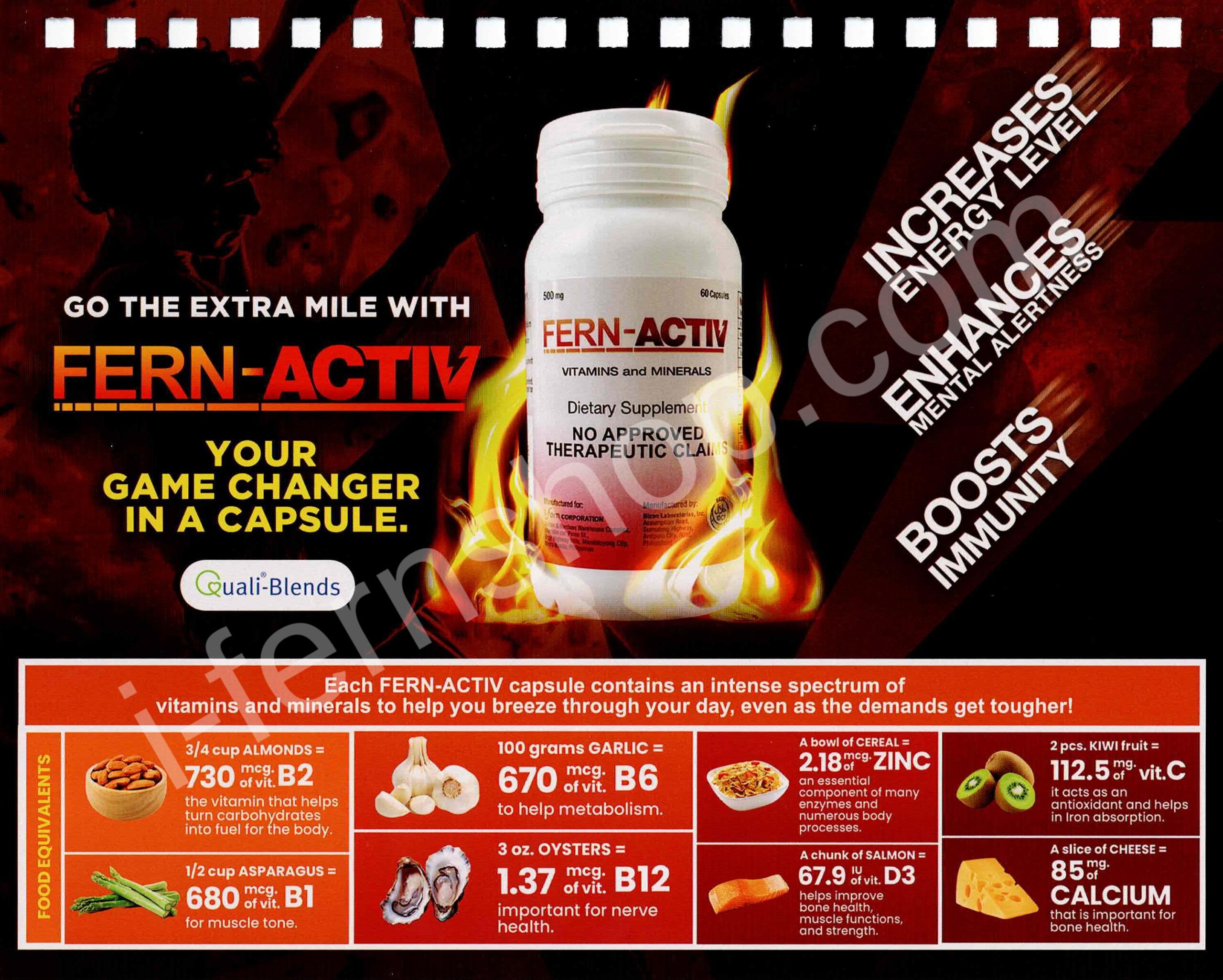 13-fern-activ