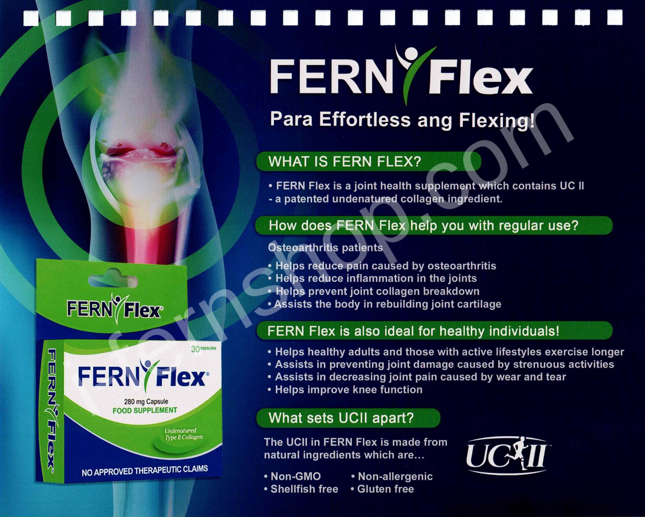 16-fern-flex