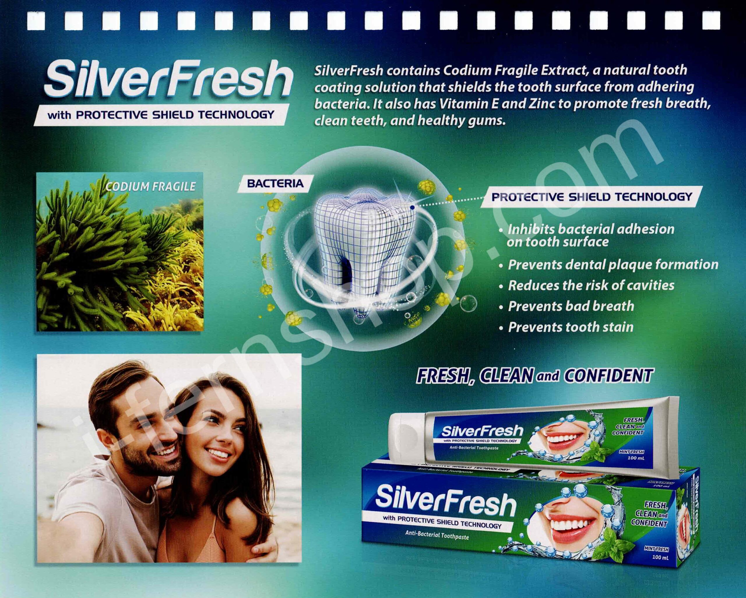18-silverfresh